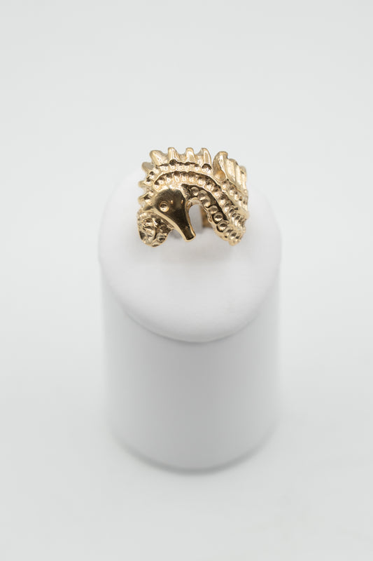 Anello Custode dello Ionio con ippocampo soveratese, vista frontale