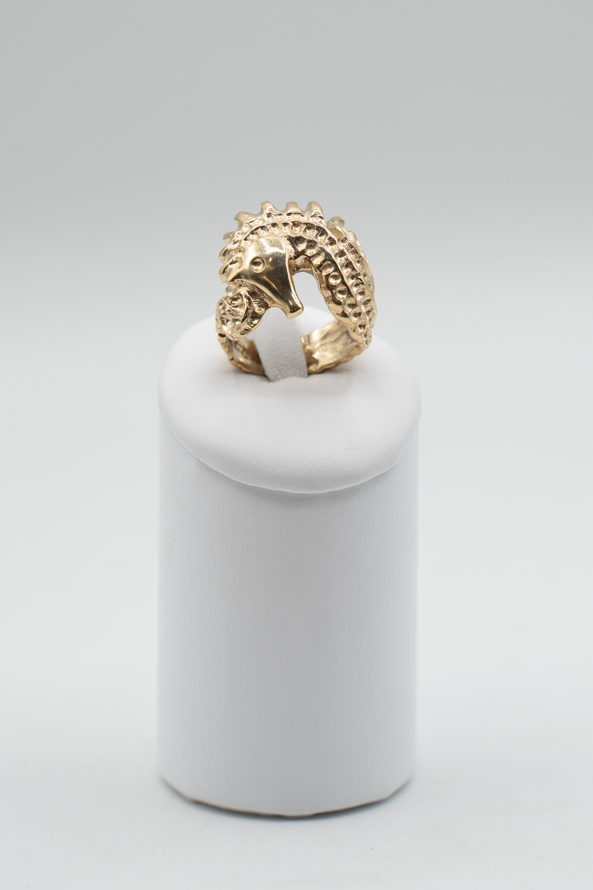 Anello Custode dello Ionio con ippocampo soveratese, vista prospettica