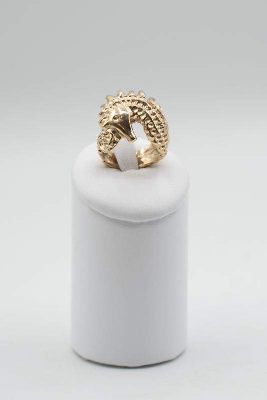 Anello Custode dello Ionio con ippocampo soveratese, vista prospettica