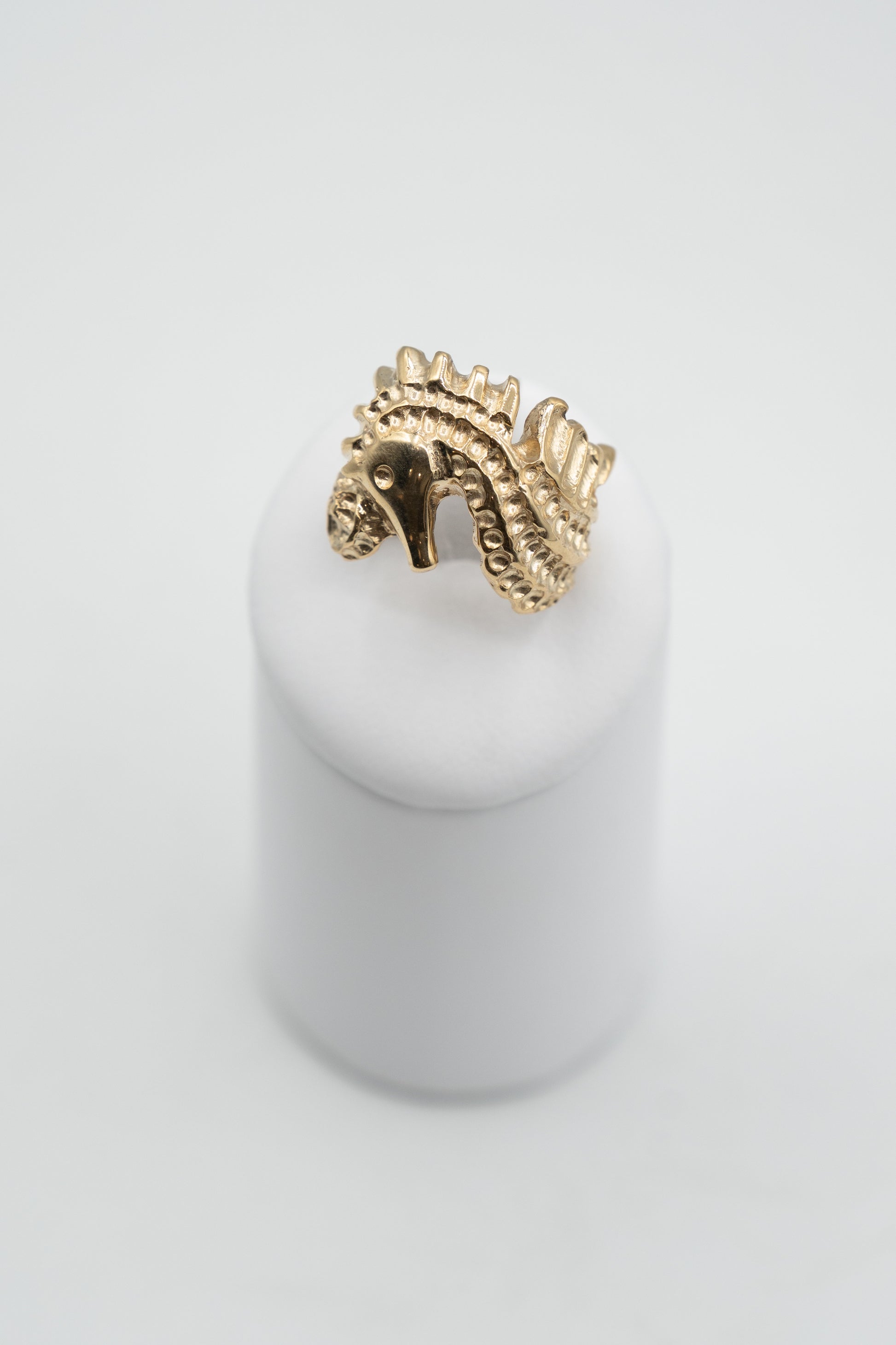 Dettaglio dell’ippocampo soveratese nell’anello Custode dello Ionio