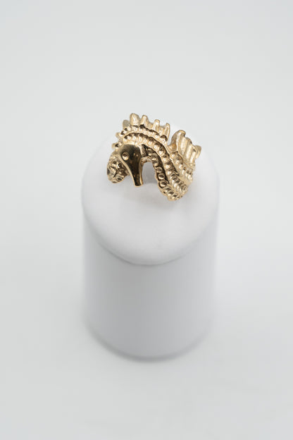 Dettaglio dell’ippocampo soveratese nell’anello Custode dello Ionio
